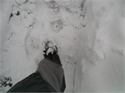 Walter 08.07.08-02.01.200993